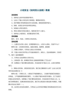 幼儿园小班安全教案《如何防火自救》 包含反思预览