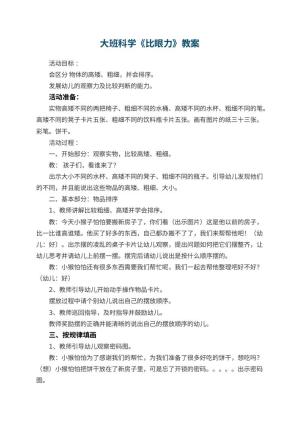 幼儿园大班科学教案《比眼力》 包含反思预览