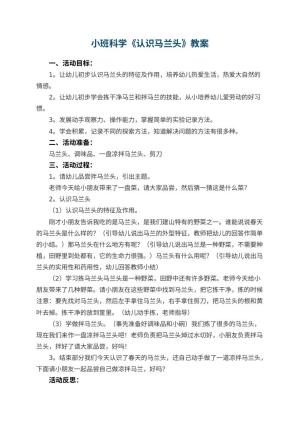 幼儿园小班科学《认识马兰头》优秀教案 包含反思预览