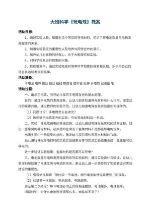 幼儿园大班科学教案《玩电珠》 包含反思预览