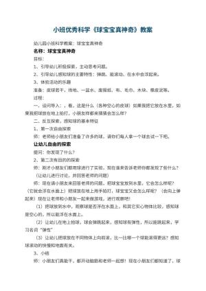 幼儿园小班优秀科学教案《球宝宝真神奇》 包含反思预览