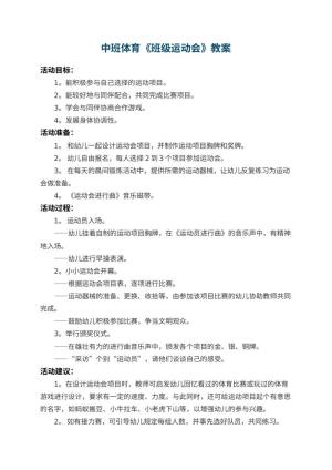 幼儿园中班体育教案《班级运动会》 包含反思预览