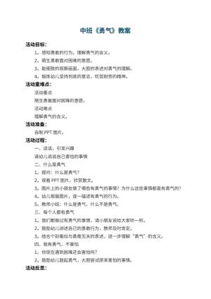 幼儿园中班教案《勇气》 包含反思预览