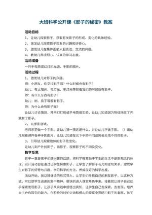 幼儿园大班科学公开课教案《影子的秘密》 包含反思预览