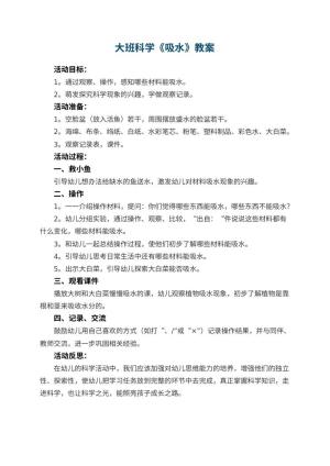 幼儿园大班科学优秀教案《吸水》 包含反思预览