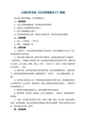 幼儿园小班科学活动教案《它们到哪里去了》 包含反思预览