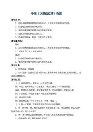 幼儿园中班教案《认识西红柿》 包含反思预览