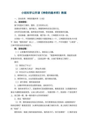 幼儿园小班科学公开课教案《神奇的魔术师》 包含反思预览