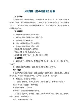 幼儿园大班健康教案《鼻子真重要》 包含反思