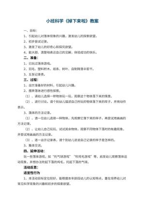 幼儿园小班科学优秀教案《掉下来啦》 包含反思