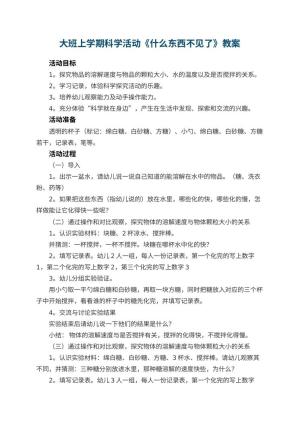 幼儿园大班上学期科学教案活动《什么东西不见了》 包含反思