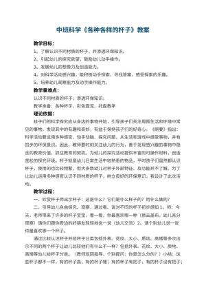 幼儿园中班科学优秀教案《各种各样的杯子》 包含反思预览