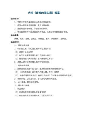 幼儿园大班教案《夜晚的猫头鹰》