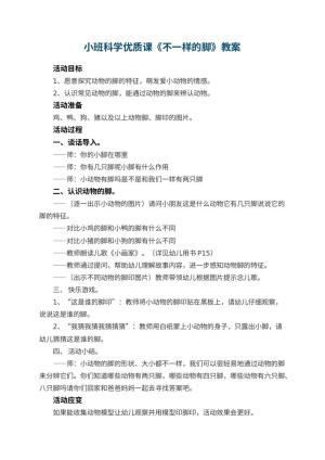 幼儿园小班科学优质课教案《不一样的脚》 包含反思预览