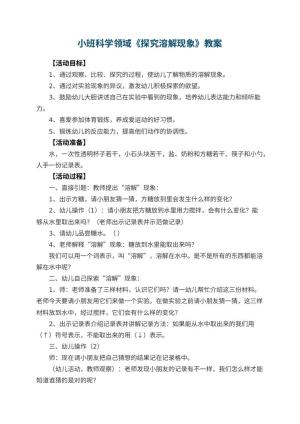 幼儿园小班科学领域教案《探究溶解现象》 包含反思预览