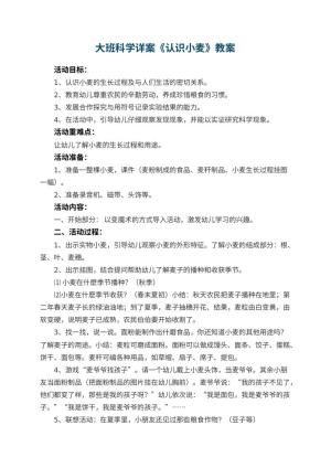 幼儿园教案大班科学详案《认识小麦》 包含反思预览