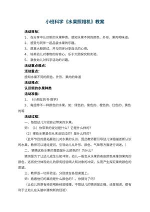 幼儿园小班科学教案《水果照相机》 包含反思预览