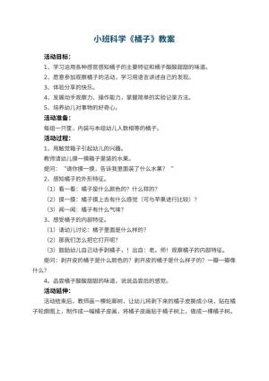 幼儿园小班科学教案《橘子》