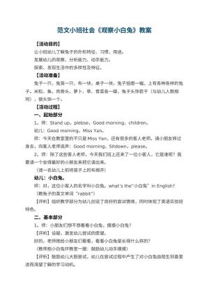 幼儿园教案范文小班社会《观察小白兔》
