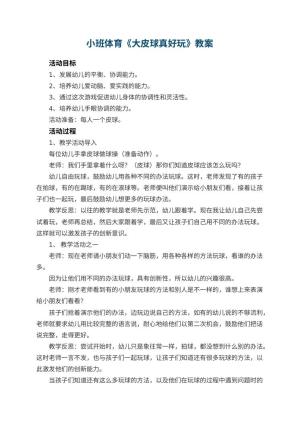 幼儿园小班体育教案《大皮球真好玩》 包含反思预览