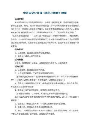 幼儿园中班安全公开课教案《我的小眼睛》 包含反思预览