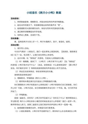 幼儿园小班音乐教案《两只小小鸭》 包含反思预览