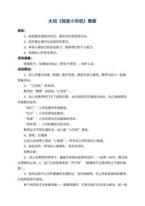 幼儿园大班教案《我是小司机》 包含反思预览