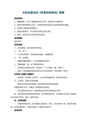 幼儿园大班主题活动教案《风喜欢和我玩》 包含反思预览