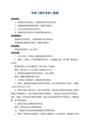 幼儿园中班教案《袋子多多》 包含反思预览