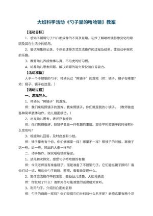 幼儿园大班科学活动教案《勺子里的哈哈镜》 包含反思预览