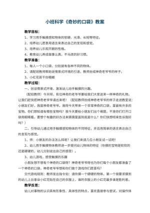 幼儿园小班科学优秀教案《奇妙的口袋》 包含反思预览