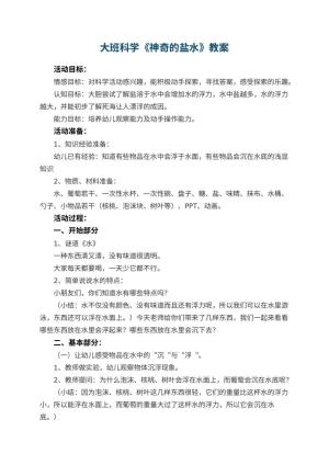 幼儿园大班科学教案《神奇的盐水》预览