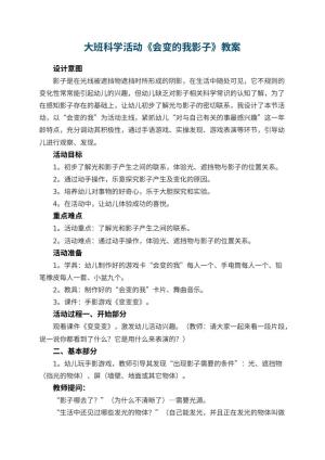 幼儿园大班科学活动教案《会变的我影子》 包含反思