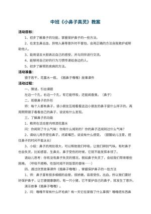 幼儿园中班教案《小鼻子真灵》 包含反思预览