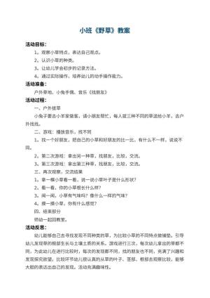 幼儿园小班教案《野草》 包含反思预览