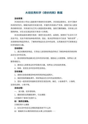 幼儿园大班优秀科学教案《奇妙的网》 包含反思预览