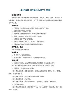 幼儿园优秀教案中班科学《可爱的小脚丫》教案 包含反思预览
