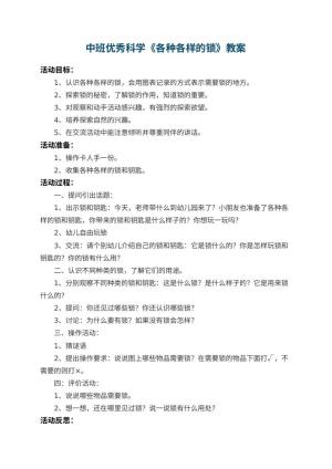 幼儿园中班优秀科学教案《各种各样的锁》 包含反思预览