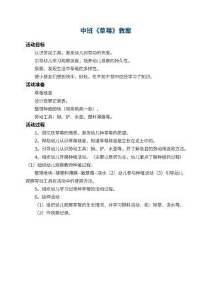 幼儿园中班教案《草莓》预览