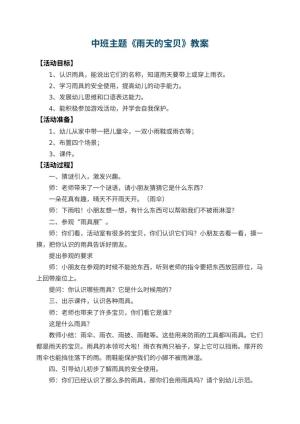 幼儿园中班主题教案《雨天的宝贝》 包含反思预览