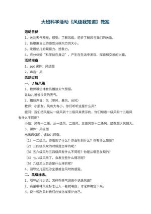 幼儿园教案大班科学活动《风级我知道》 包含反思预览