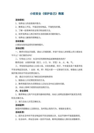 幼儿园小班安全教案《保护自己》 包含反思预览
