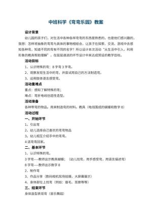 幼儿园中班科学教案《弯弯乐园》 包含反思预览
