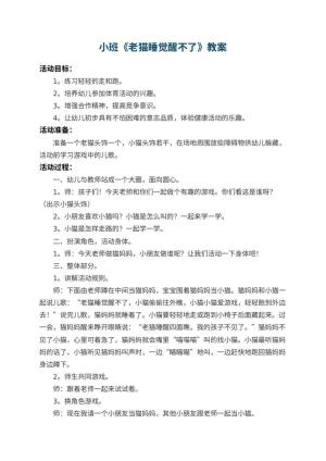 幼儿园小班教案《老猫睡觉醒不了》 包含反思