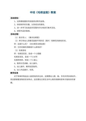 幼儿园中班教案《毛根盆栽》 包含反思预览