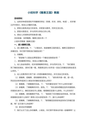 幼儿园小班科学教案《糖果王国》 包含反思预览