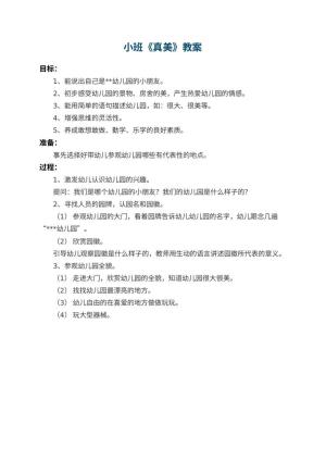 小班教案《幼儿园真美》预览