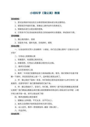 幼儿园小班科学教案《蒲公英》 包含反思预览