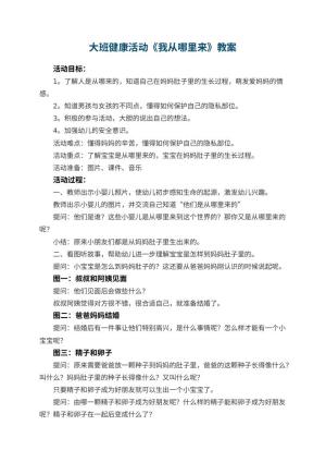 幼儿园大班健康活动《我从哪里来》教案 包含反思