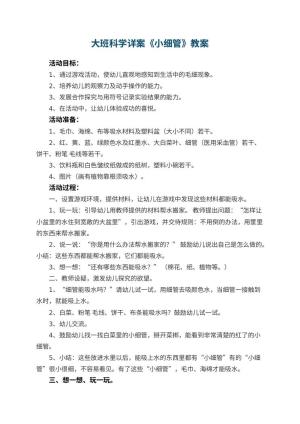 幼儿园教案大班科学详案《小细管》 包含反思预览